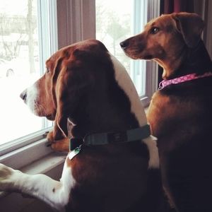 Meet your Posher, Meredith